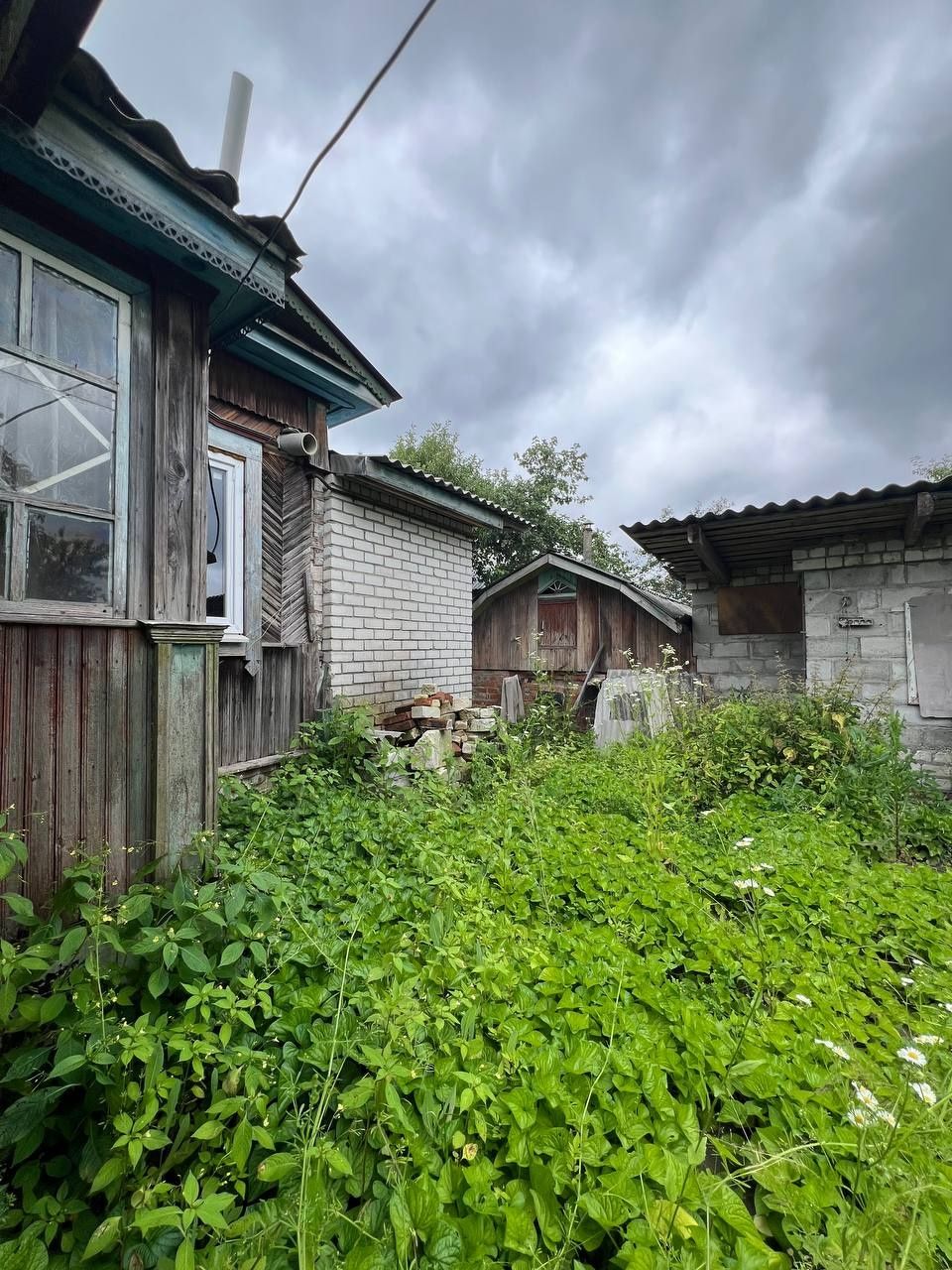 Будинок. Н Білоус.