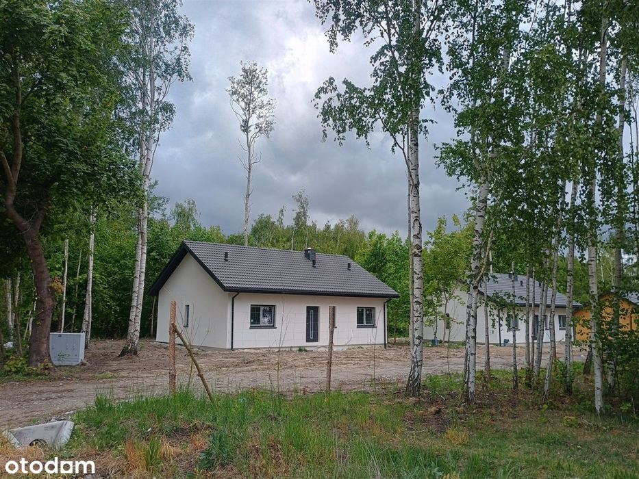 Energooszczędny dom duża działka w brzozowym lasku