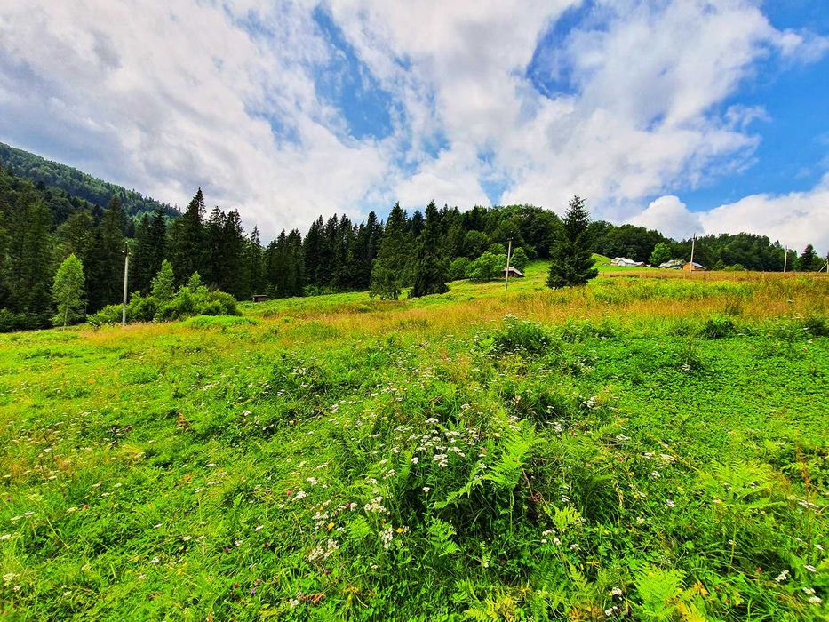 Продам Землю Карпаты Косовский район Ивано-Франковска область