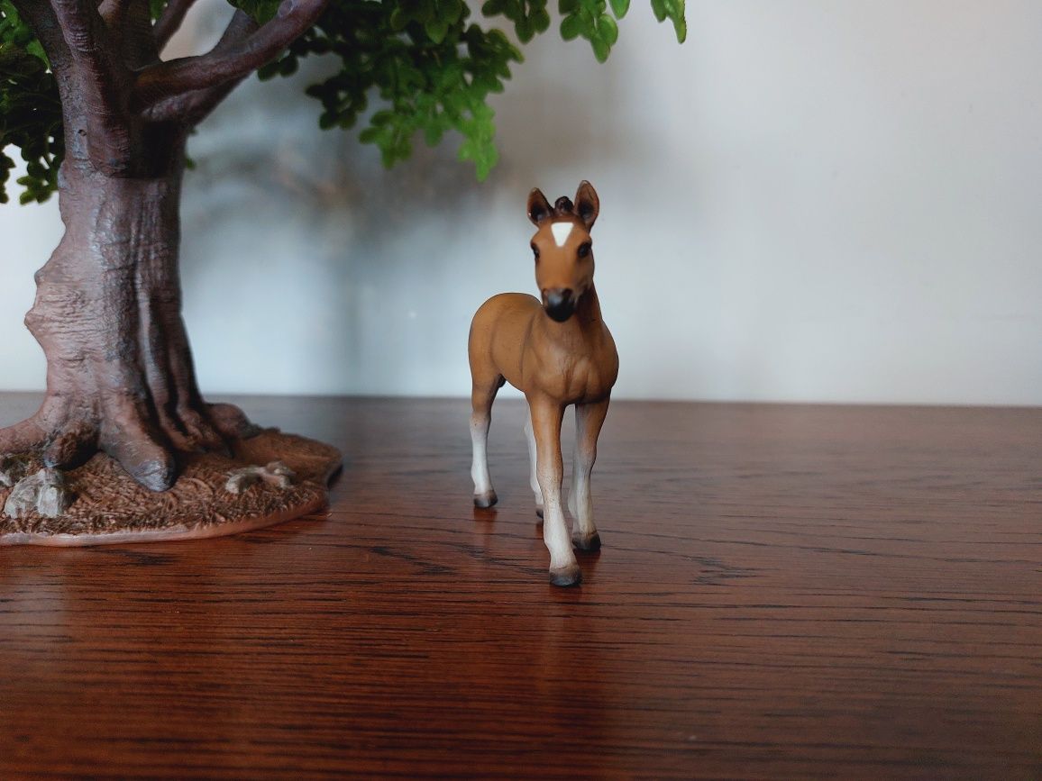 Źrebak hanowerski schleich