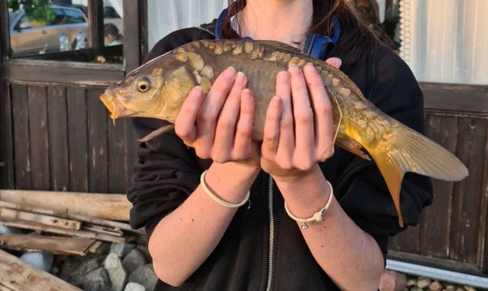 domek na Kaszubach Pan Tadeusz, łowisko, sauna