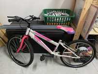 Bicicleta adulto