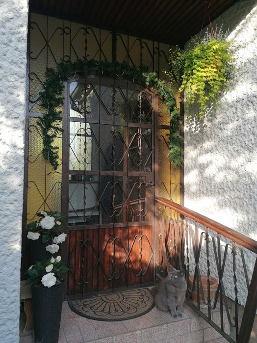 Drzwi zewnętrzne kute żeliwne z szybą stalowe do domu balustrada retro