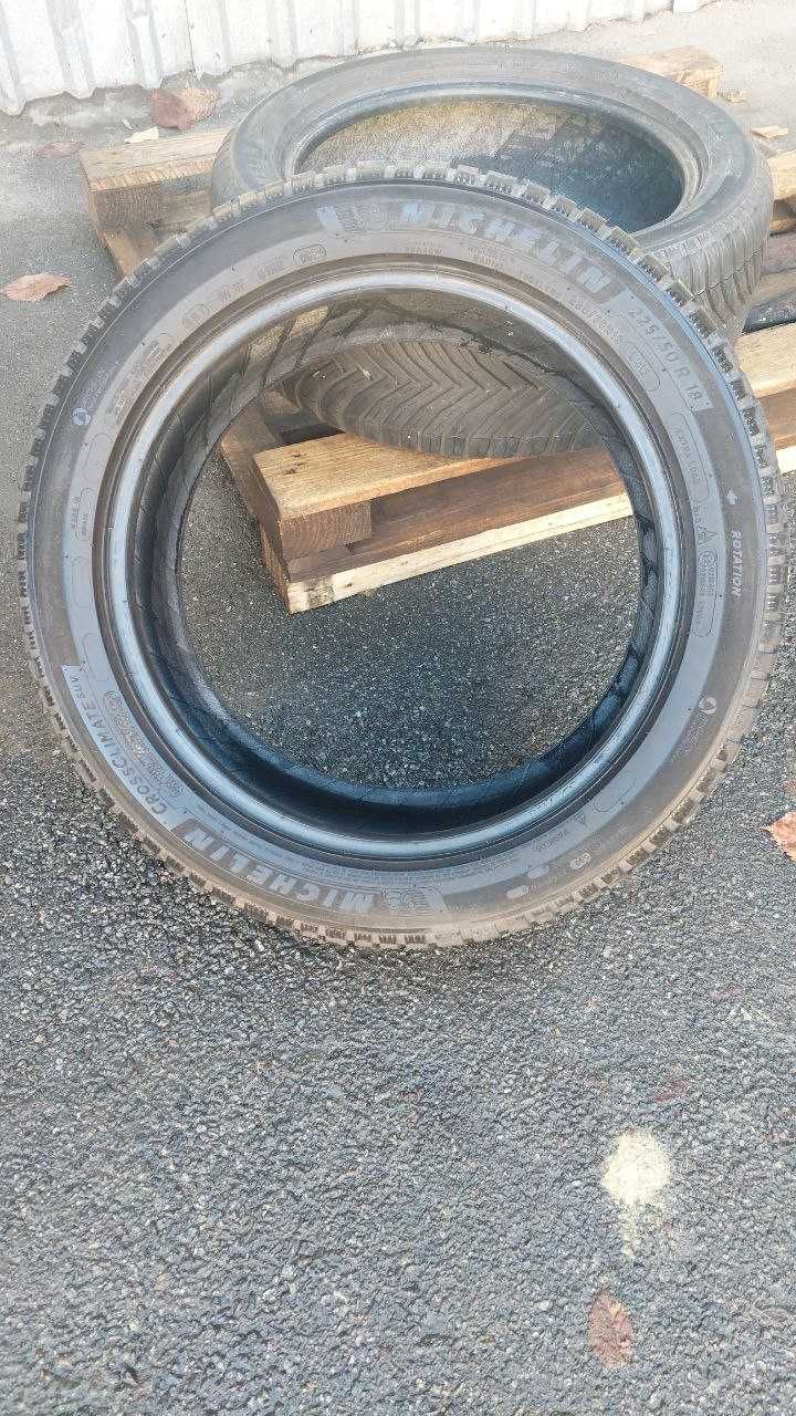Шини 225 50 R18 Michelin CrossClimate suv