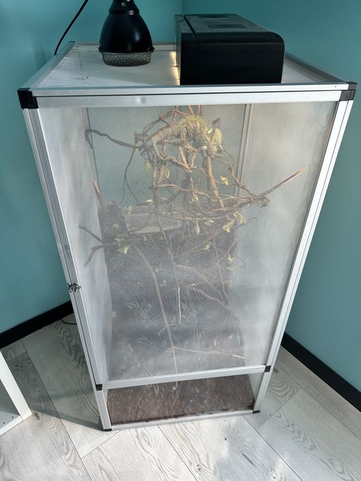 Terrarium siatkowe 60x60x120 gratis
