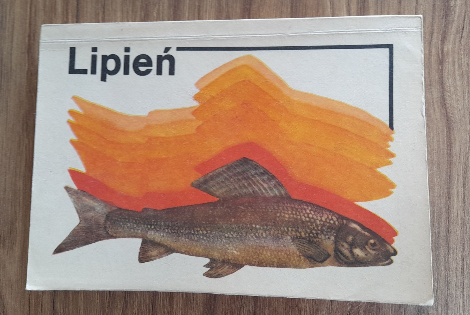 Lipień - A. Witkowski, M. Kowalewicz, B. Kokurewicz