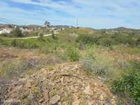 Terreno rústico com 3600m2, Conceição de Tavira, Algarve