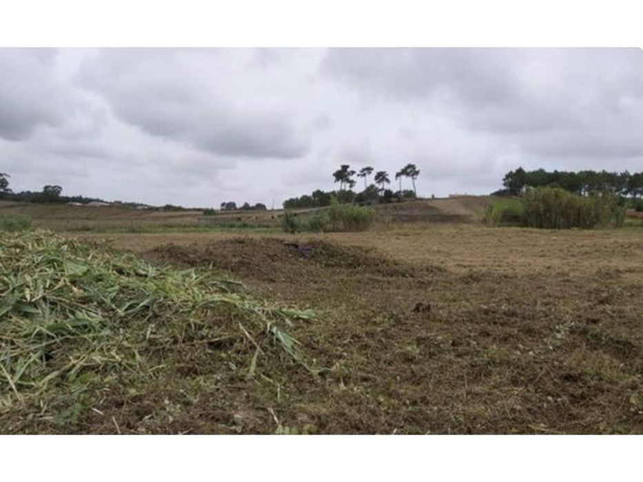 Terreno para Venda em Torres Vedras