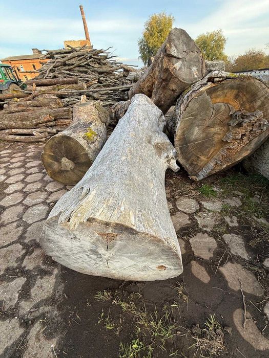 Sprzedam kłody dębu