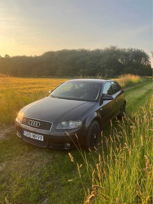 Audi A3 8P • 2.0 TDI 140 KM • zadbane, jeździ bez zarzutu •
