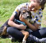 MALWINKA 8 mies. sunia do adopcji uratowana w Bułgarii