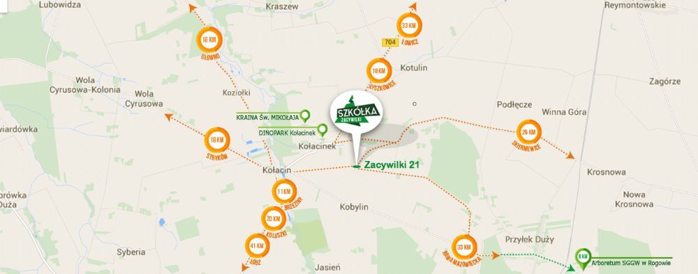 Grys granitowy DALMATYŃCZYK 16-22 kamień ogrodowy TANI TRANSPORT