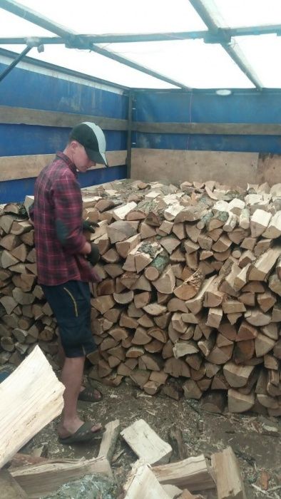 Обухів Дуб купить Київ дрова купити Обухів дрова дуб купить дроваСухі