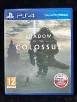 Shadow Of The Colossus PL na PS4 i PS5 po polsku Komplet w BDB stanie