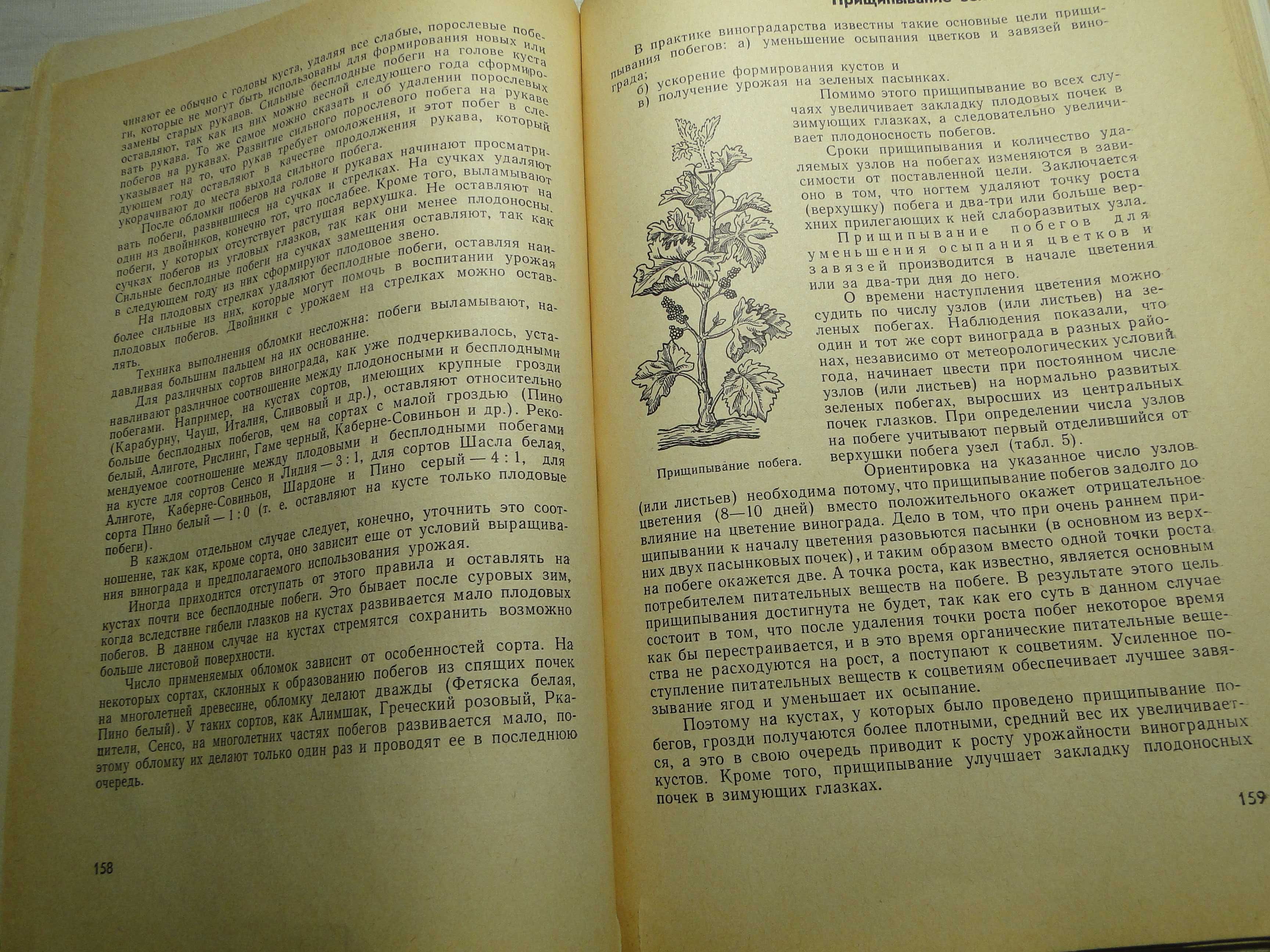 Настольная   книга   Виноградаря,    1963 г.