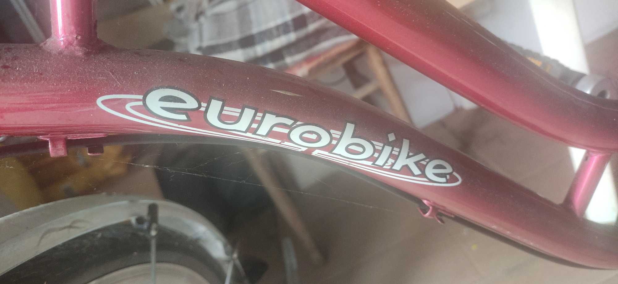 rower Eurobike Retro