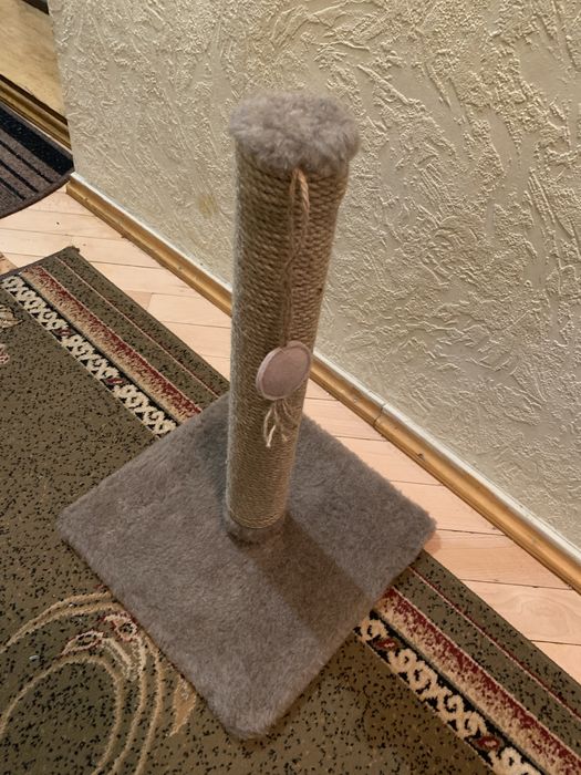 Дряпалапка кігтеточка