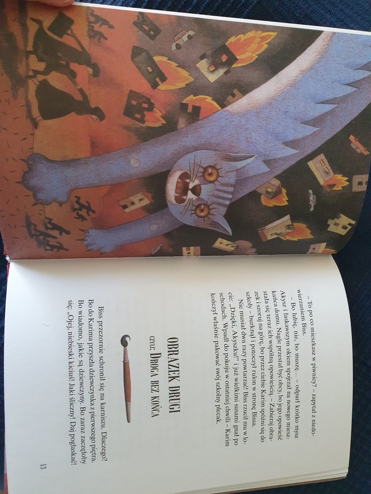 "Kot Karima i obrazki" Liliana Bardijewska