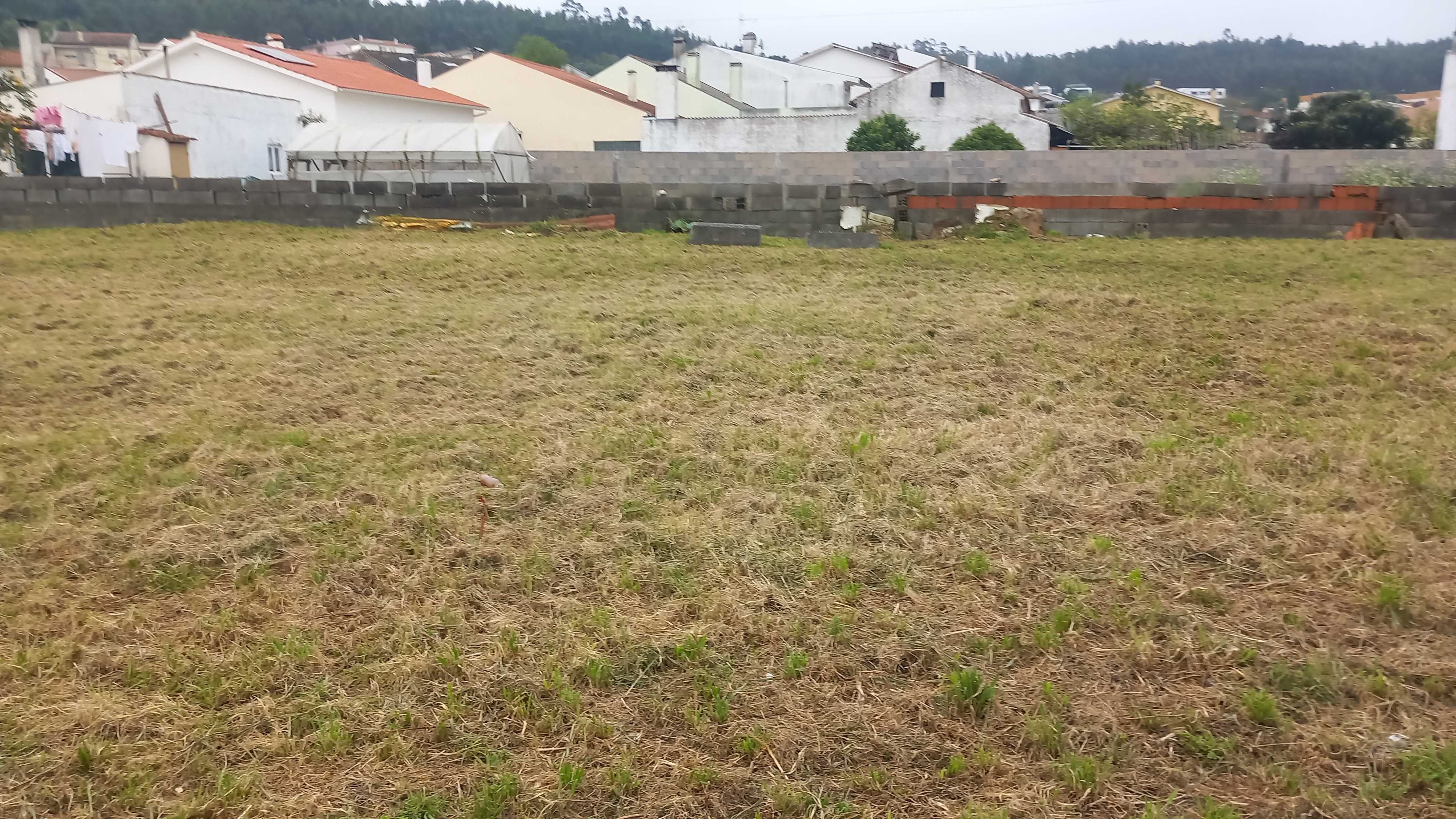 Moradia para reconstrução em Taveiro com Terreno de 1000m2.