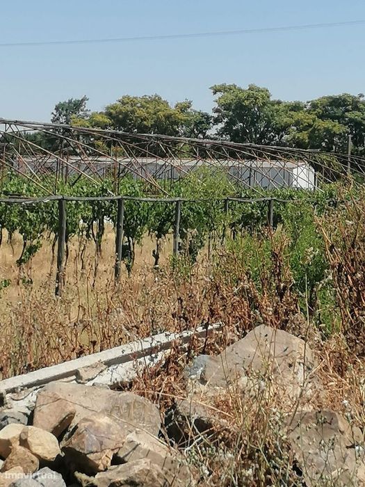 Loja-Armazém Na Quinta Da Pigarça   Cuba-Imóvel Ocupado | Não Disponív