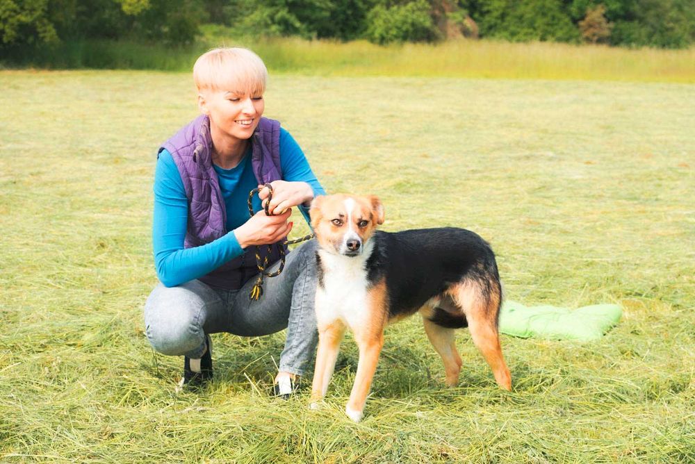 Salud jego urok i wdzięk mówi sam za siebie
