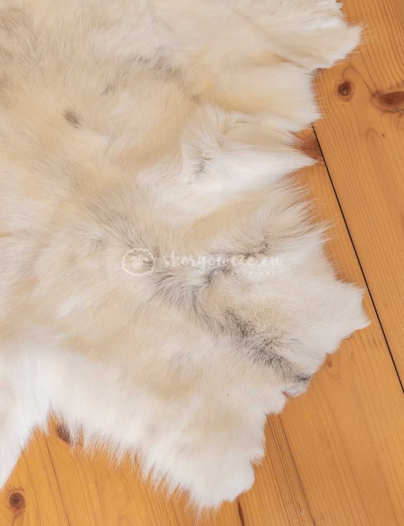 Dekoracyjna skóra z renifera/ renifer biały Albinos/ Unikat ,Wzór 1.