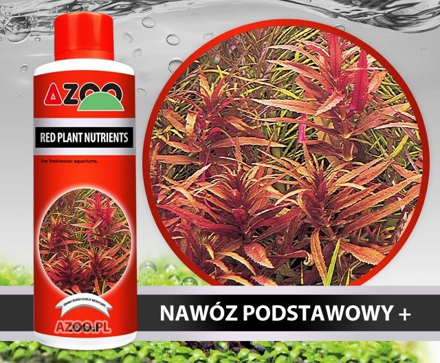 Azoo Red Plant Nutrients 500ml.