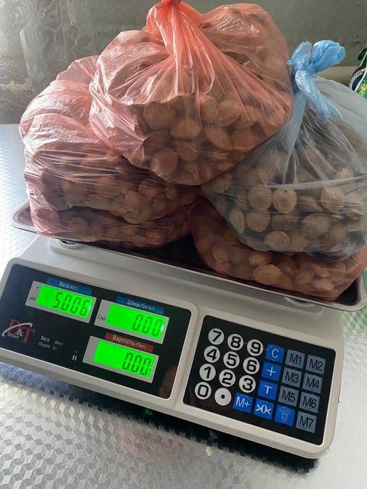 косточка алычи и абрикоса