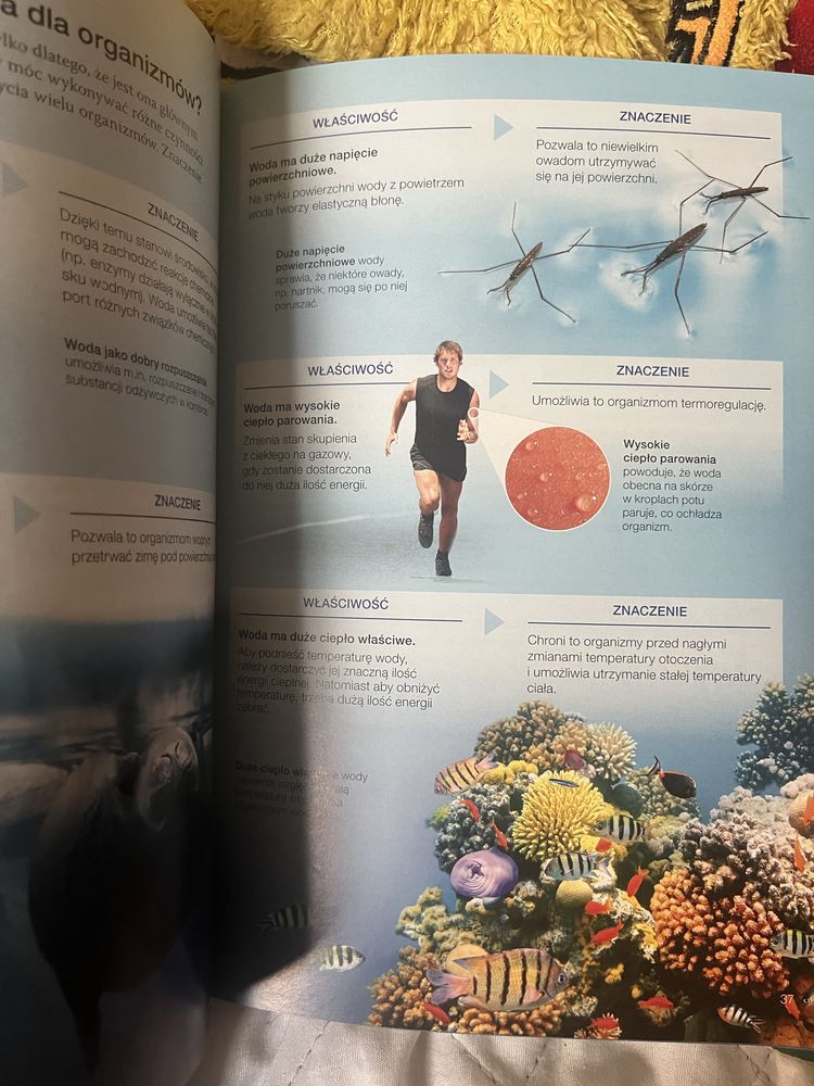 Biologia na czasie 1 zakres podstawowy PWSM