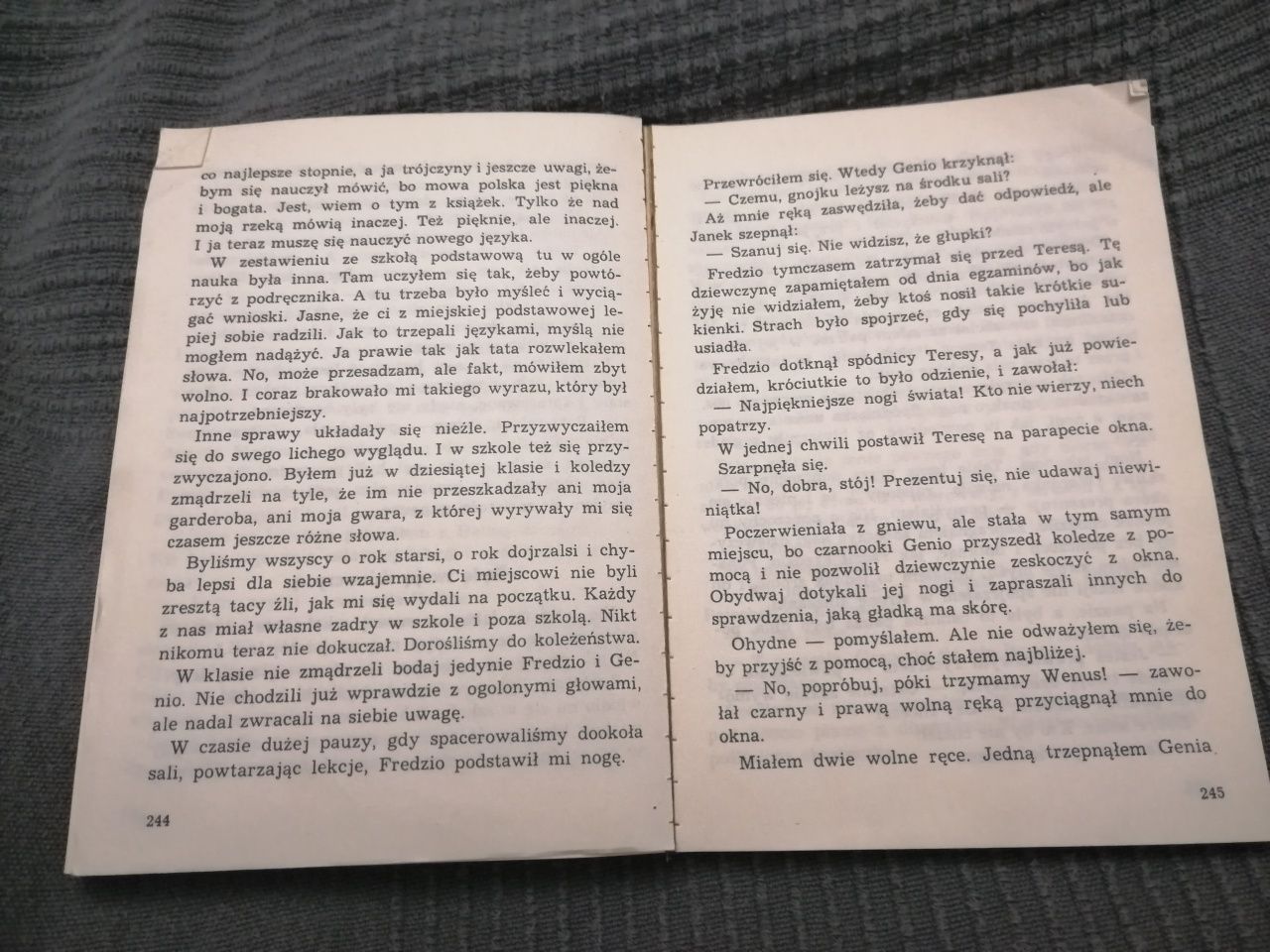 Cierpki owoc Tarniny. Klementyna Sotonowicz-Olbrychska