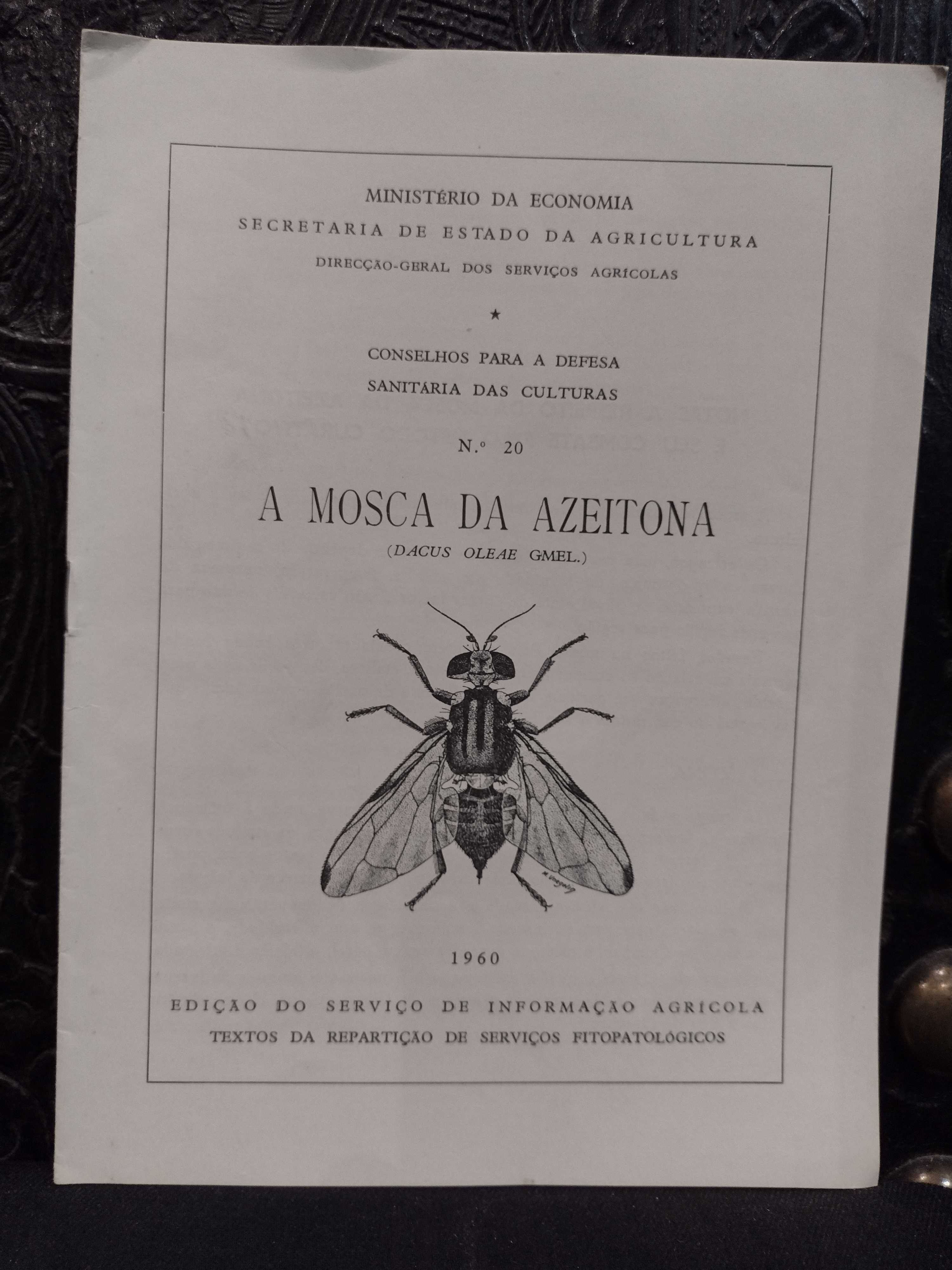 A Mosca da Azeitona 1960