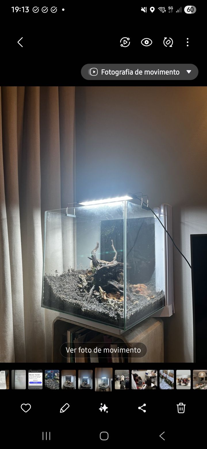 Aquário Cubiq 60 litros + lâmpada