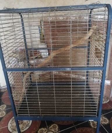 Продам вальер (для большого папугая)