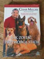 SUPER STAN Cesar Millan/Zaklinacz psów, "Jak zostać przywódcą stada"