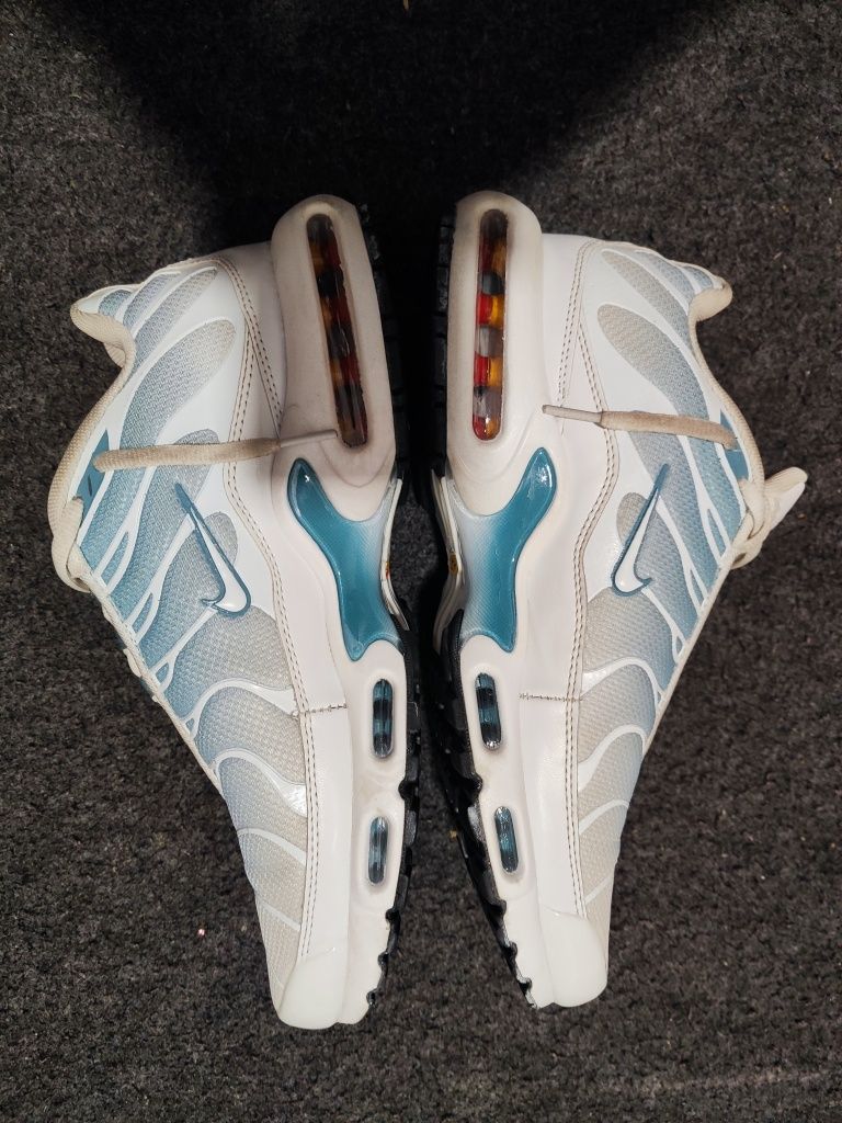 Nike Air Max Tn – Semi Novo