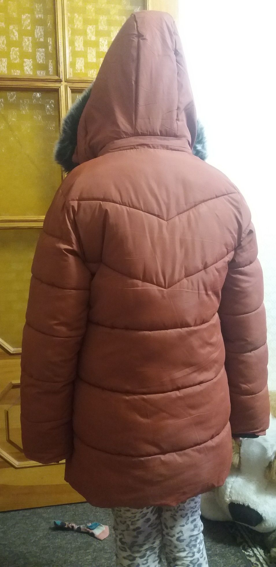 Зимняя куртка, зимнее пальто.