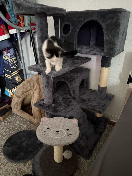 Wielopoziomowy drapak dla kota z domkiem i sizalem, 132 cm