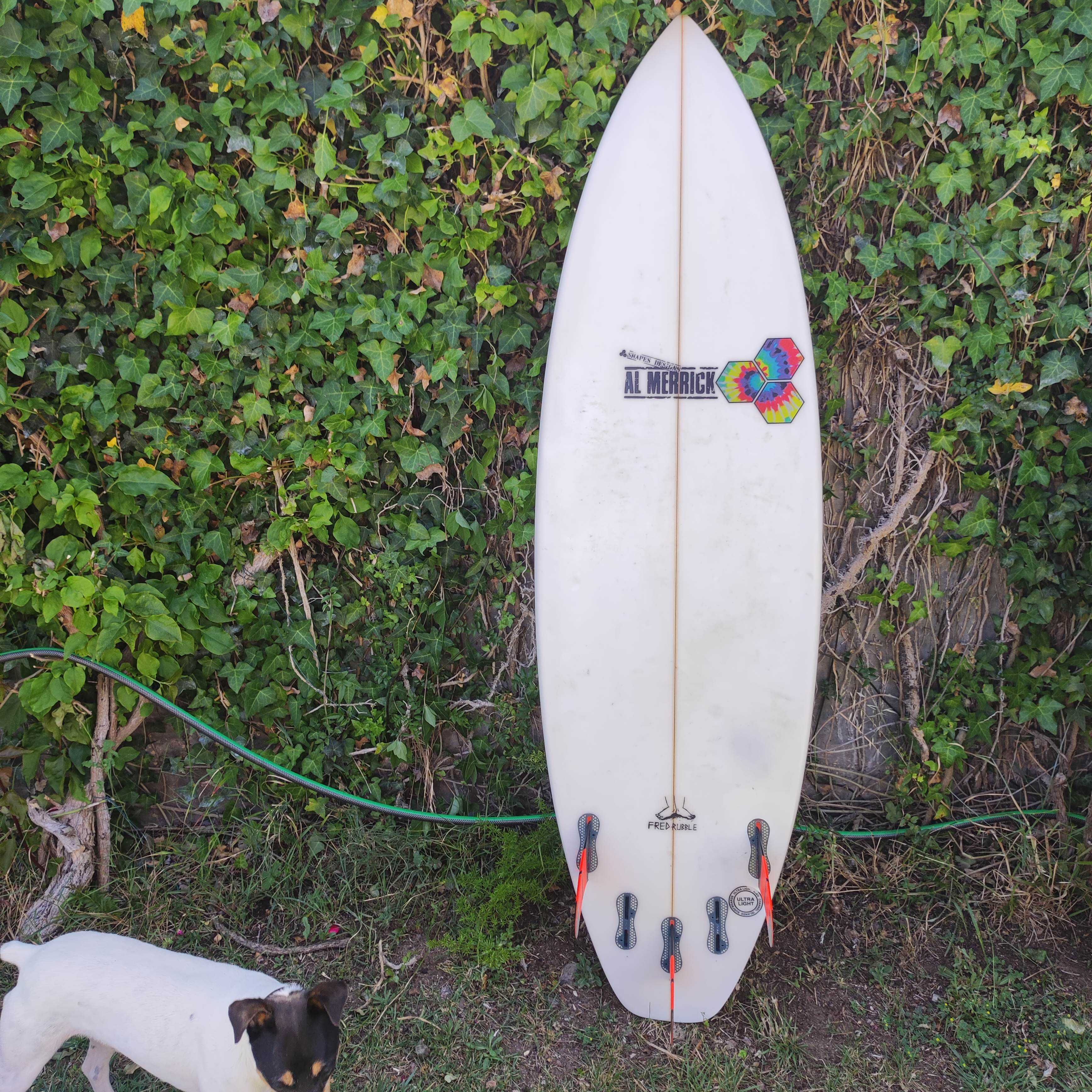Prancha de surf AL MERRICK