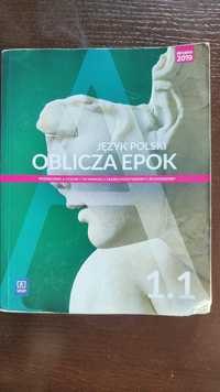 Język polski Oblicza epok 1.2. Podręcznik liceum i technikum.