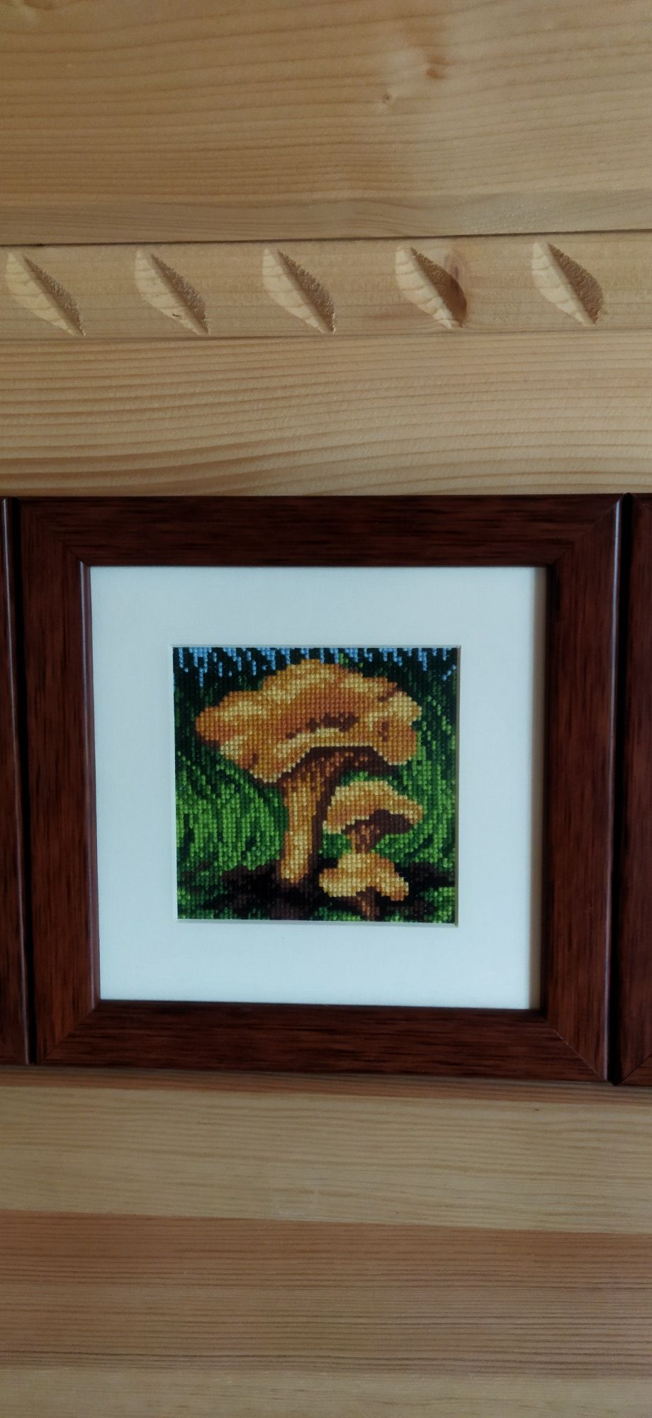 Obrazki wyszywane grzybki haftowane 6 sztuk