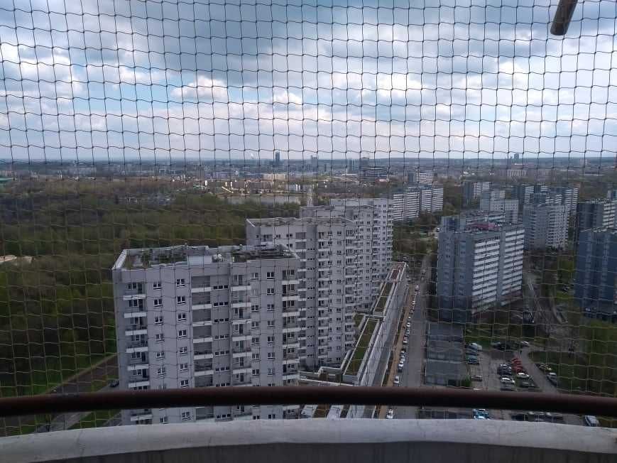 Siatka na balkon, siatka dla kota, siatki przeciw gołębiom