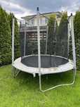 Trampolina Domyos 240