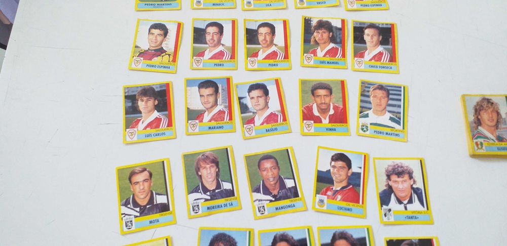 Panini 95/96                        .