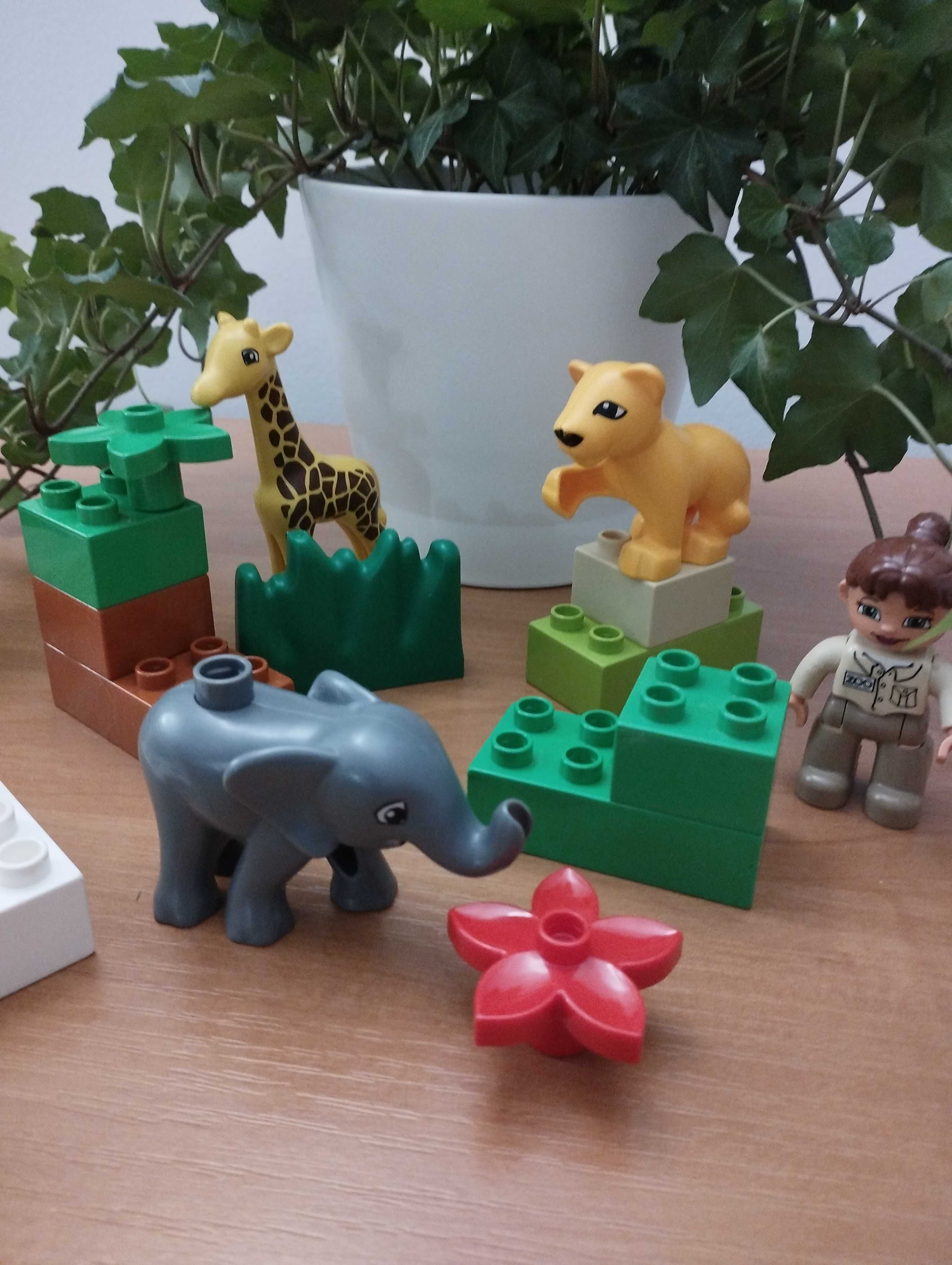 Klocki LEGO Duplo zestaw Mini zoo