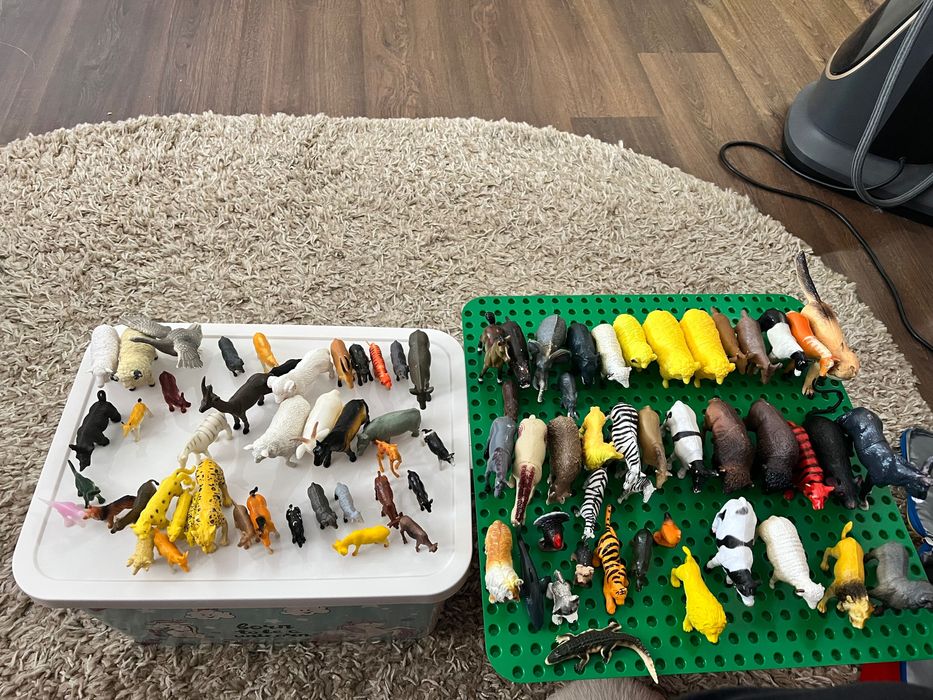 Звіри одним лотом