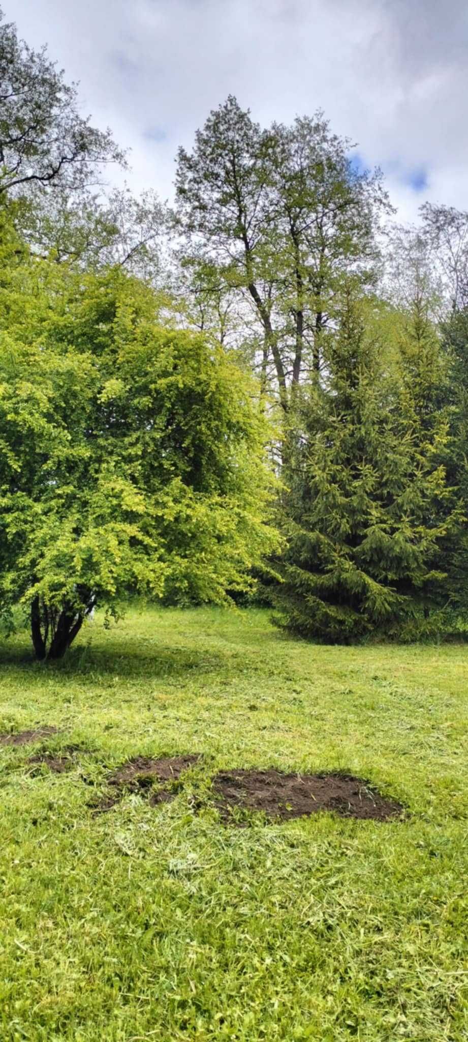 Działka rolno leśna z warunkami zabudowy w Nowym Klewinowie