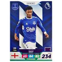 Karta Panini 152 Premier League 2023 Plus Demarai Gray