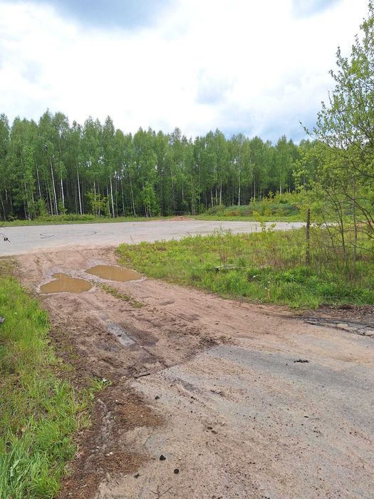 Działka Skupowo, 8012 m2, gmina Narewka, częściowo utwardzona - bruk