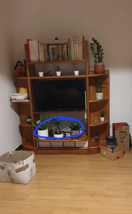 Movel de sala para TV