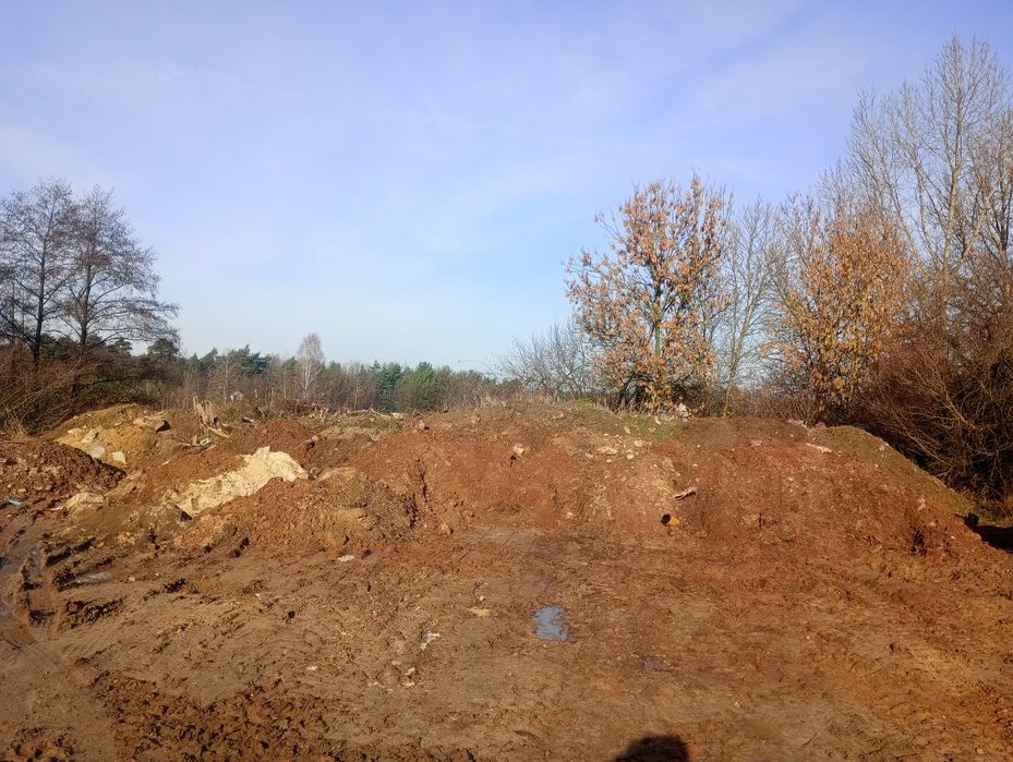 Oddam ziemię gratis